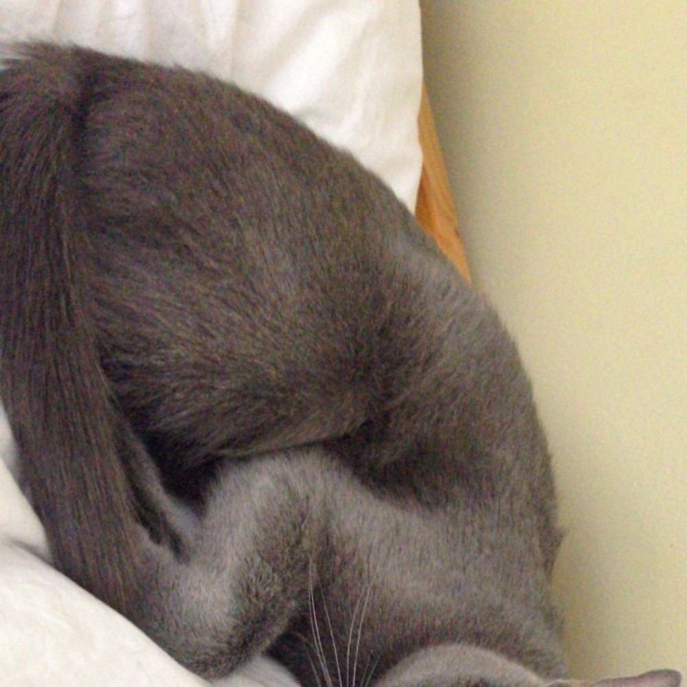 Meet your Posher, Jess